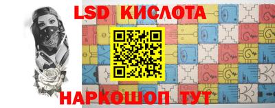 ПСИЛОЦИБИНОВЫЕ ГРИБЫ Краснознаменск