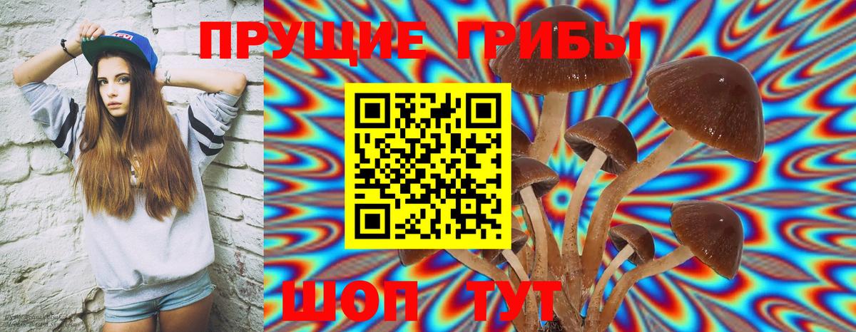 Галлюциногенные грибы Cubensis  Вход с VPN  Коркино 