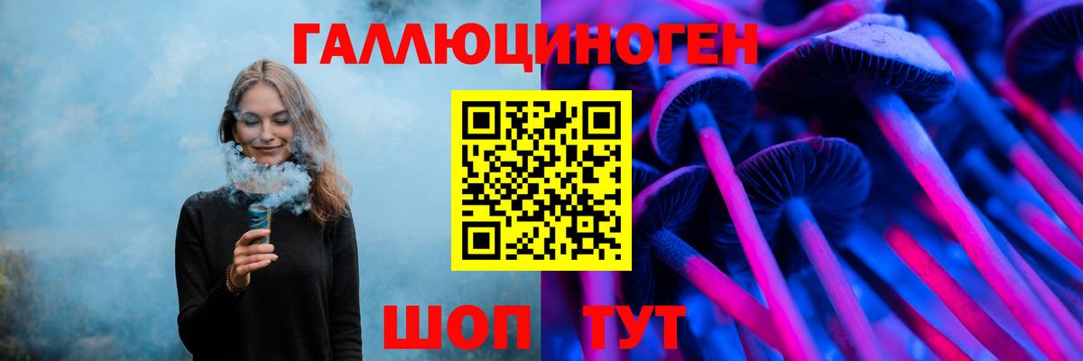 Псилоцибиновые грибы Cubensis Коркино